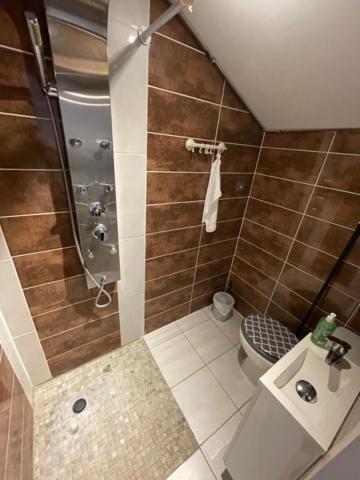 Studio Privee Vesoul -Wifi,Tv,Clim,Parking Gratuit Dış mekan fotoğraf